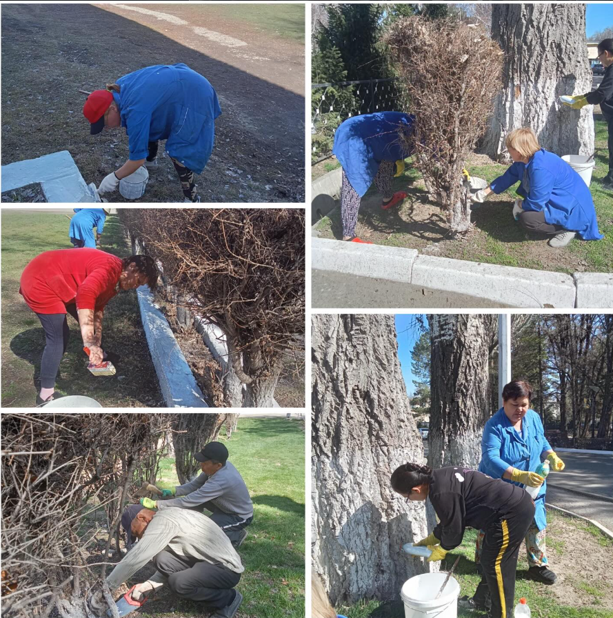 🌿 Мектебімізде «Таза Қазақстан» акциясы өтті. Мектеп аумағын тазалап, қоршаған ортаны қорғауға өз үлестерін қосты.